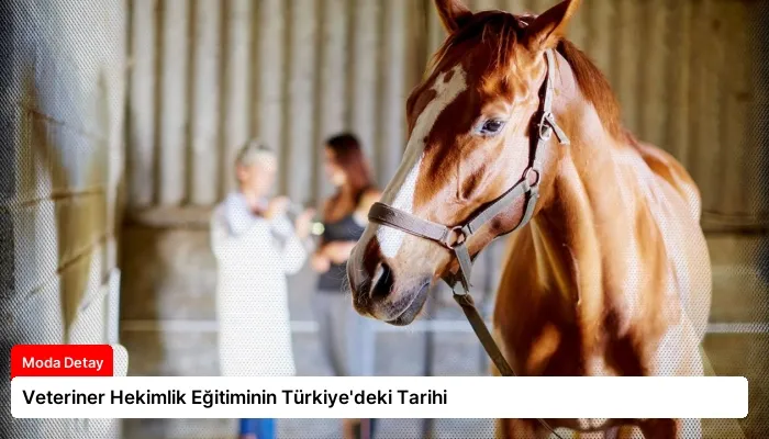 Veteriner Hekimlik Eğitiminin Türkiye’deki Tarihi