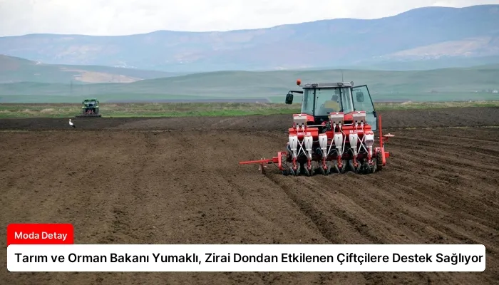 Tarım ve Orman Bakanı Yumaklı, Zirai Dondan Etkilenen Çiftçilere Destek Sağlıyor