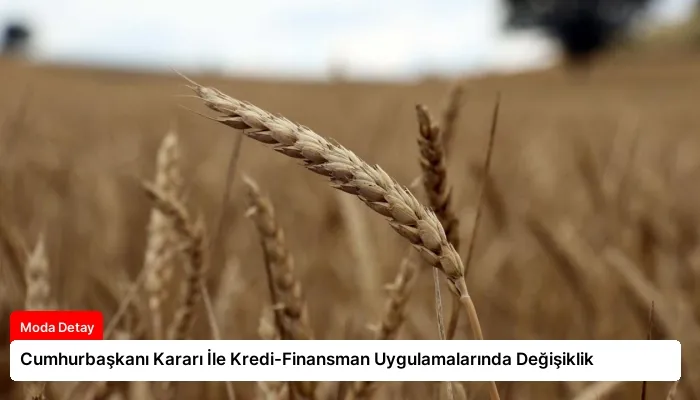 Cumhurbaşkanı Kararı İle Kredi-Finansman Uygulamalarında Değişiklik
