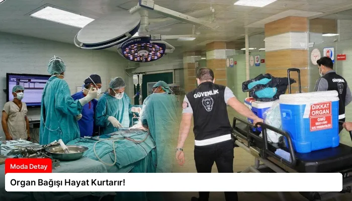 Organ Bağışı Hayat Kurtarır!