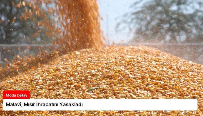 Malavi, Mısır İhracatını Yasakladı