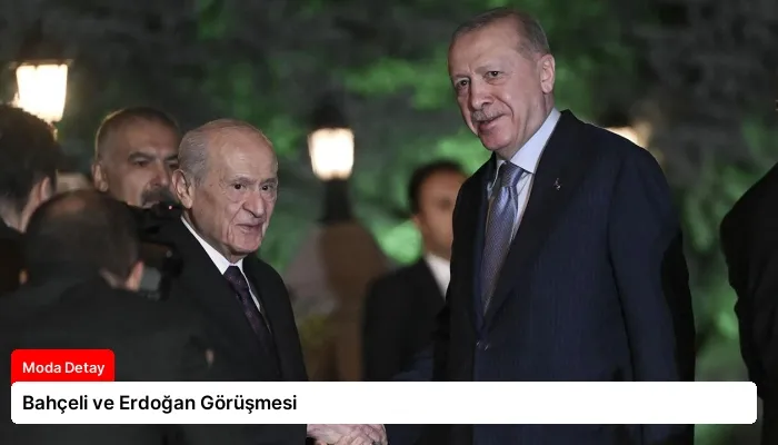 Bahçeli ve Erdoğan Görüşmesi
