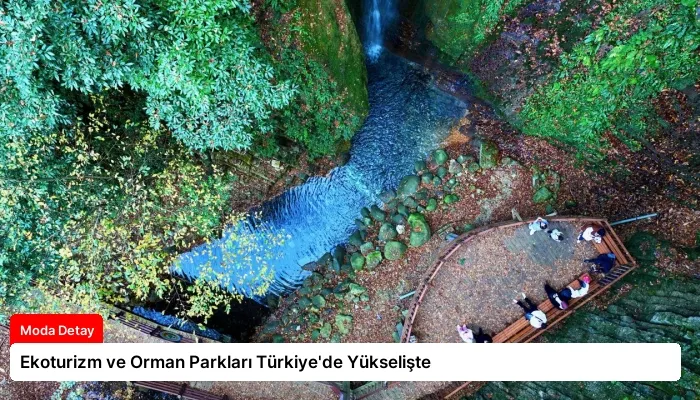 Ekoturizm ve Orman Parkları Türkiye’de Yükselişte
