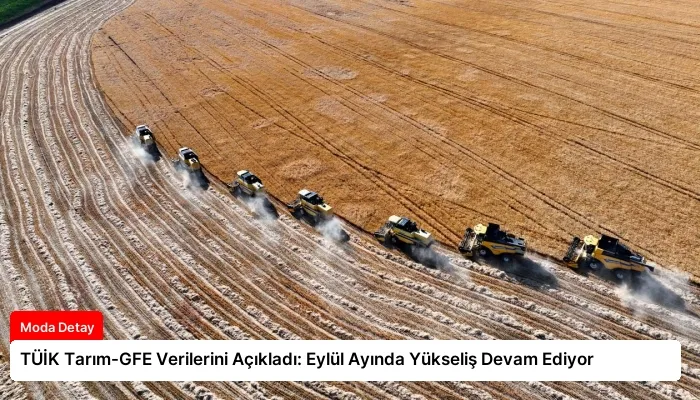 TÜİK Tarım-GFE Verilerini Açıkladı: Eylül Ayında Yükseliş Devam Ediyor