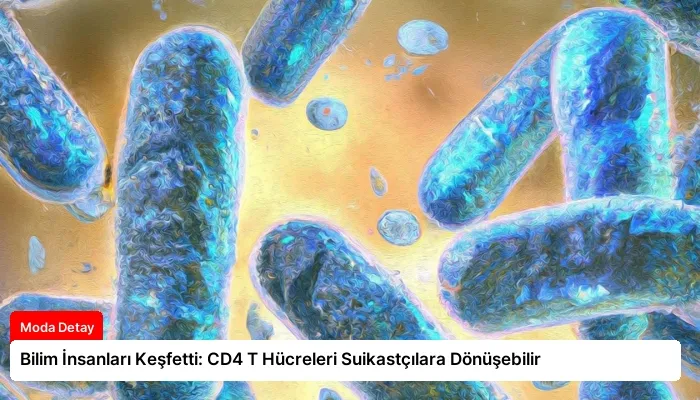 Bilim İnsanları Keşfetti: CD4 T Hücreleri Suikastçılara Dönüşebilir