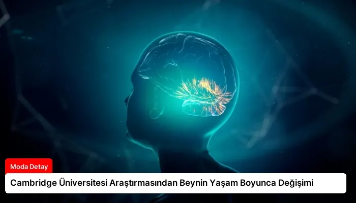 Cambridge Üniversitesi Araştırmasından Beynin Yaşam Boyunca Değişimi