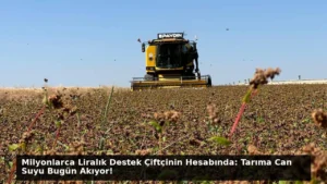 Milyonlarca Liralık Destek Çiftçinin Hesabında: Tarıma Can Suyu Bugün Akıyor!