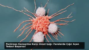 Pankreas Kanserine Karşı Umut Işığı: Farelerde Çığır Açan Tedavi Başarısı!
