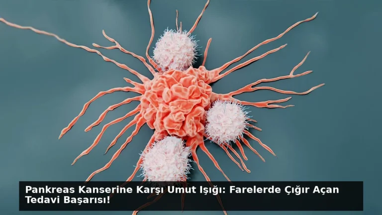 Pankreas Kanserine Karşı Umut Işığı: Farelerde Çığır Açan Tedavi Başarısı!