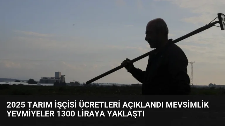 2025 Tarım İşçisi Ücretleri Açıklandı Mevsimlik Yevmiyeler 1300 Liraya Yaklaştı