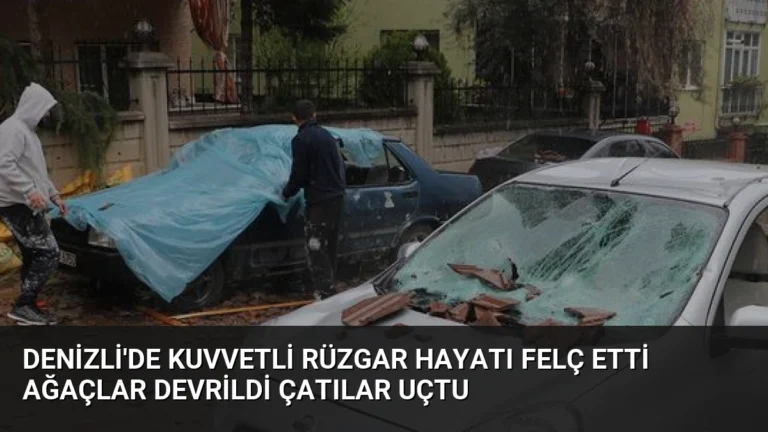 Denizli’de Kuvvetli Rüzgar Hayatı Felç Etti Ağaçlar Devrildi Çatılar Uçtu