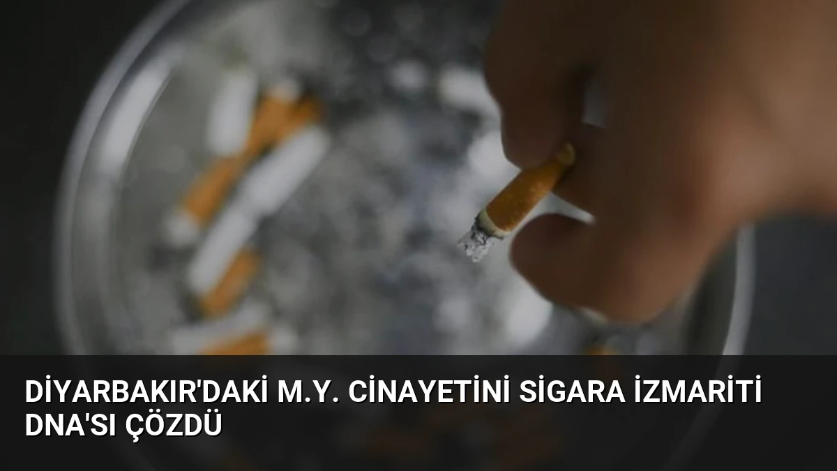 Diyarbakır’daki M.Y. Cinayetini Sigara İzmariti DNA’sı Çözdü