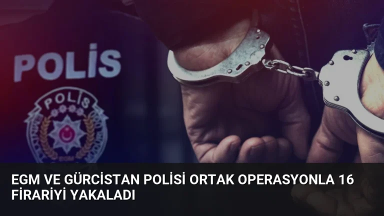 EGM ve Gürcistan Polisi Ortak Operasyonla 16 Firariyi Yakaladı