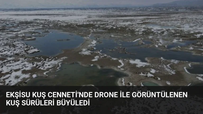 Ekşisu Kuş Cenneti’nde Drone ile Görüntülenen Kuş Sürüleri Büyüledi