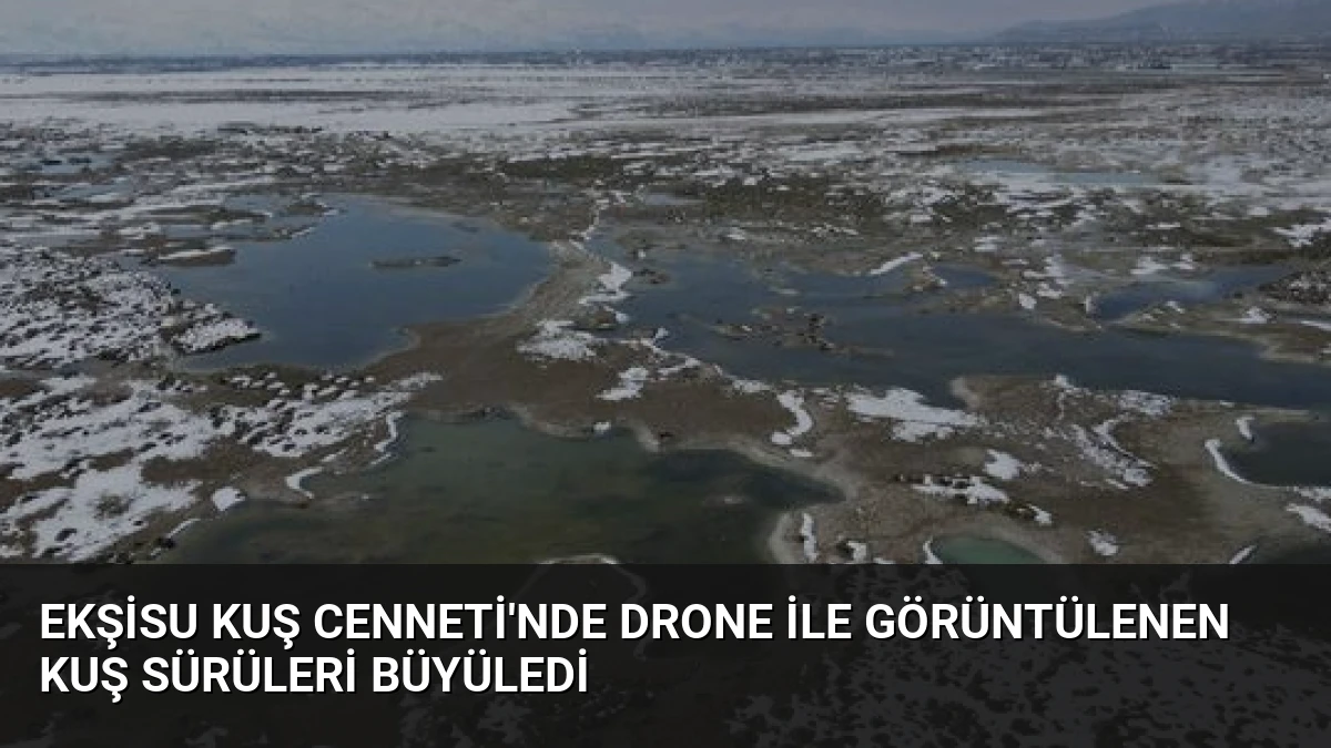 Ekşisu Kuş Cenneti’nde Drone ile Görüntülenen Kuş Sürüleri Büyüledi