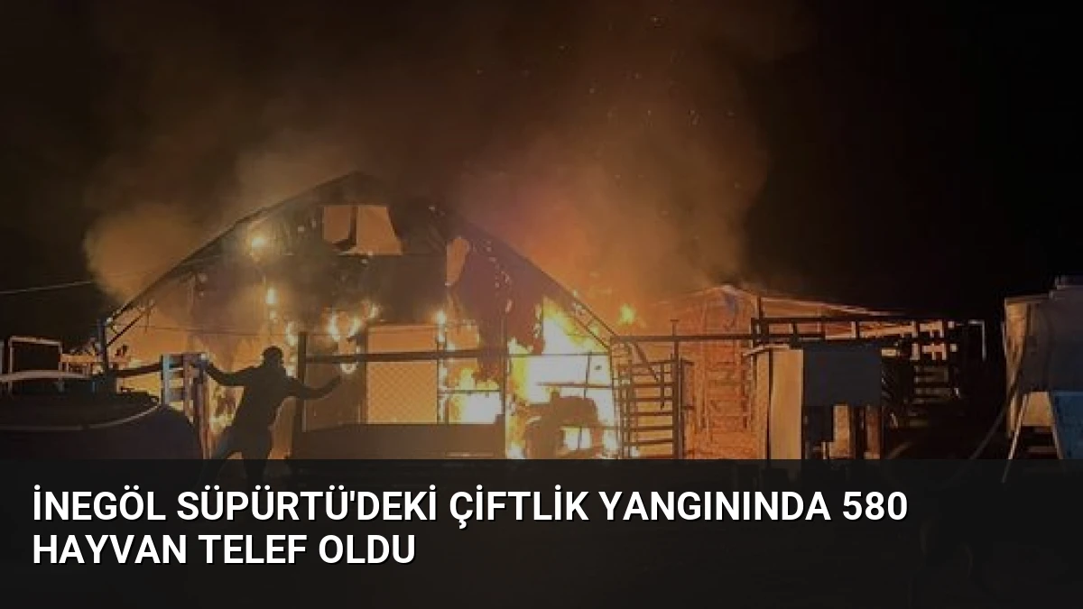 İnegöl Süpürtü’deki Çiftlik Yangınında 580 Hayvan Telef Oldu