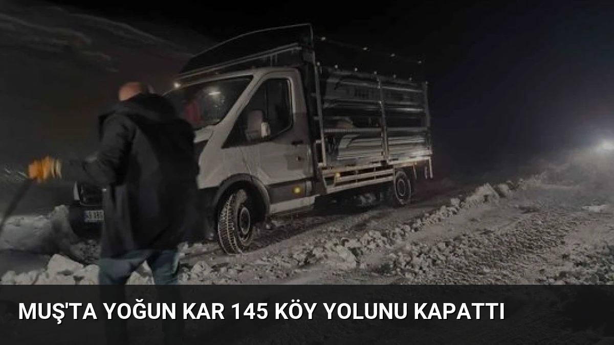Muş’ta Yoğun Kar 145 Köy Yolunu Kapattı