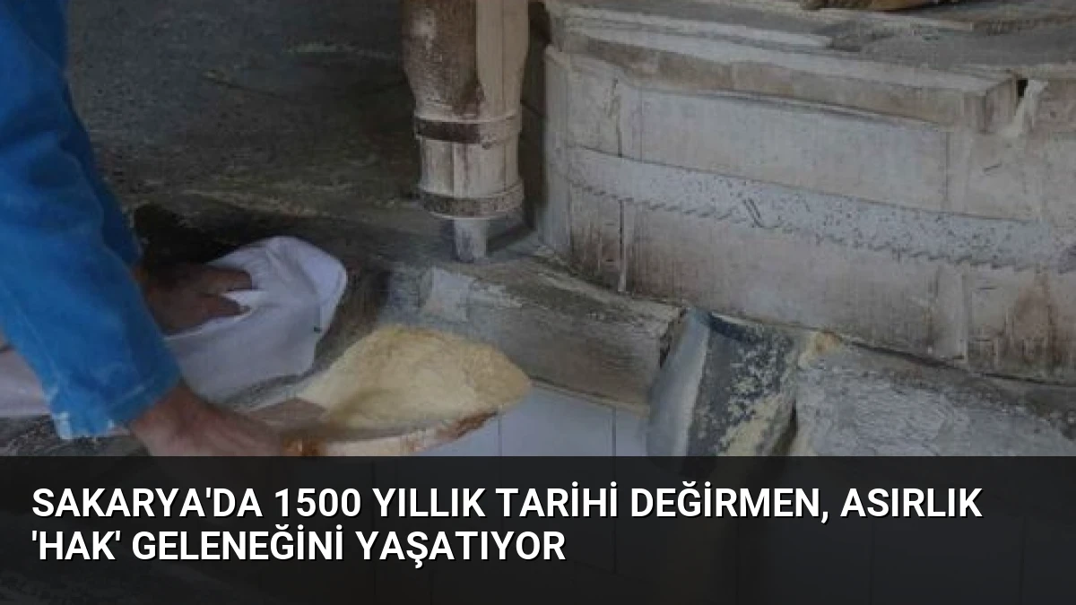 Sakarya’da 1500 Yıllık Tarihi Değirmen, Asırlık ‘Hak’ Geleneğini Yaşatıyor
