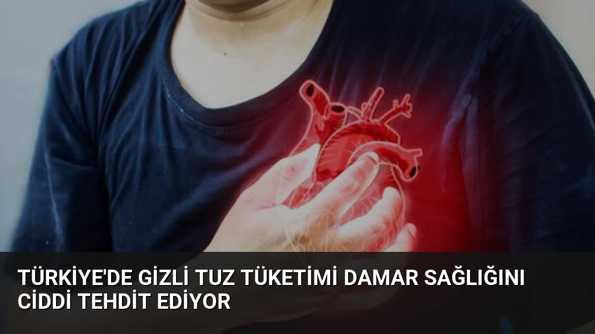 Türkiye’de Gizli Tuz Tüketimi Damar Sağlığını Ciddi Tehdit Ediyor