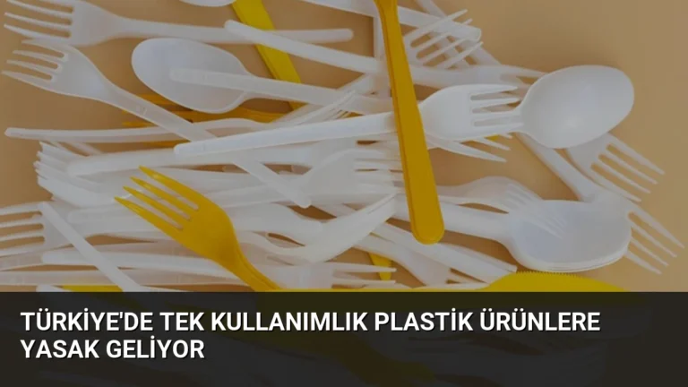 Türkiye’de Tek Kullanımlık Plastik Ürünlere Yasak Geliyor