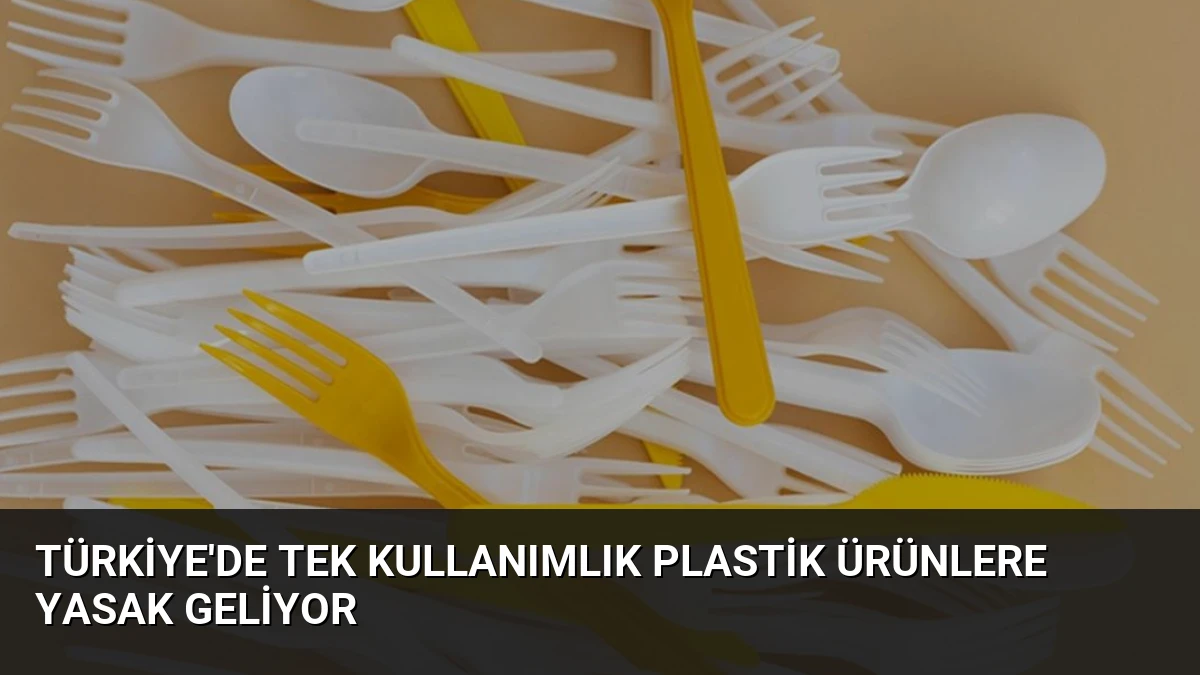 Türkiye’de Tek Kullanımlık Plastik Ürünlere Yasak Geliyor