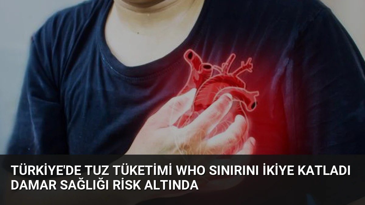 Türkiye’de Tuz Tüketimi WHO Sınırını İkiye Katladı Damar Sağlığı Risk Altında