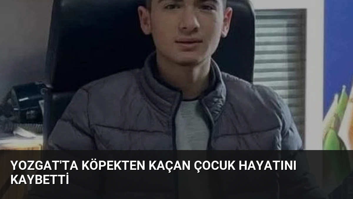 Yozgat’ta Köpekten Kaçan Çocuk Hayatını Kaybetti
