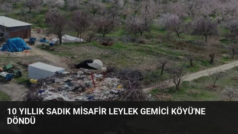10 Yıllık Sadık Misafir Leylek Gemici Köyü’ne Döndü