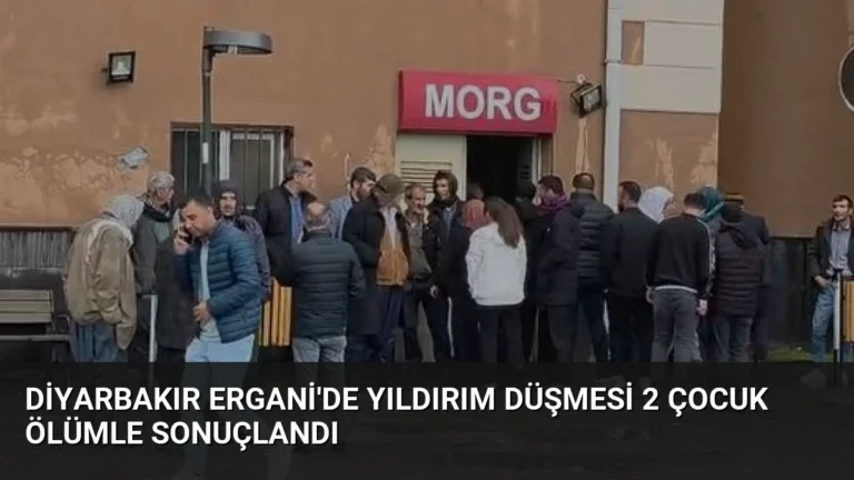 Diyarbakır Ergani’de Yıldırım Düşmesi 2 Çocuk Ölümle Sonuçlandı