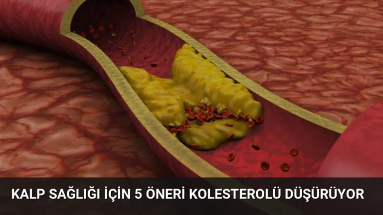 Kalp Sağlığı İçin 5 Öneri Kolesterolü Düşürüyor