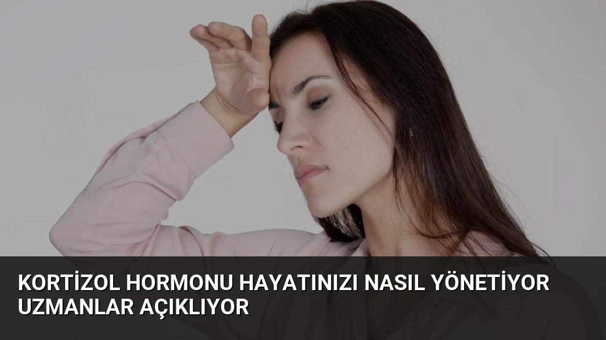 Kortizol Hormonu Hayatınızı Nasıl Yönetiyor Uzmanlar Açıklıyor