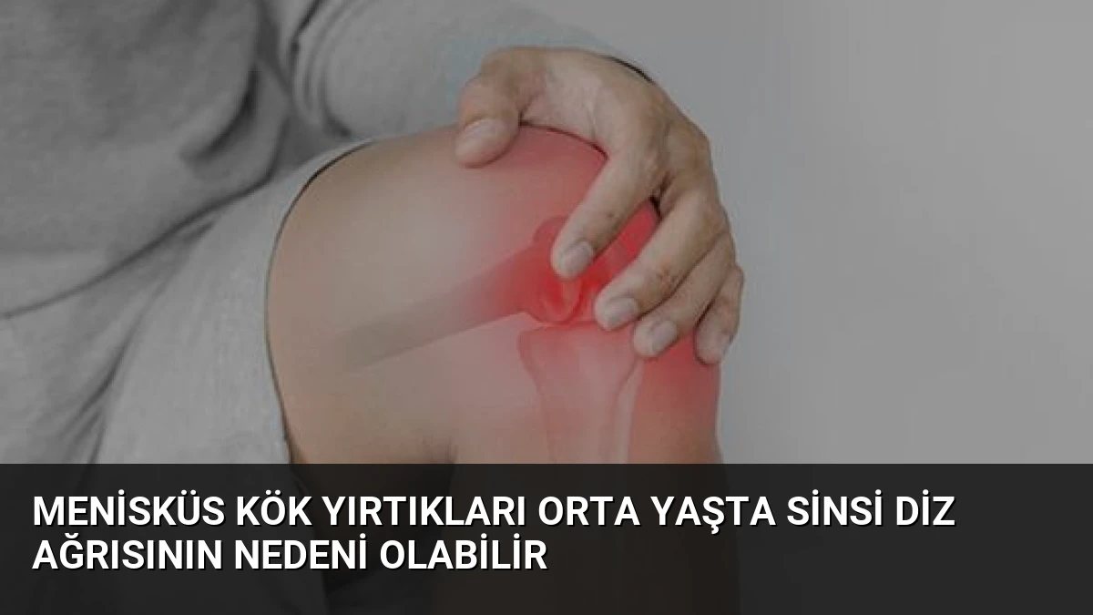 Menisküs Kök Yırtıkları Orta Yaşta Sinsi Diz Ağrısının Nedeni Olabilir