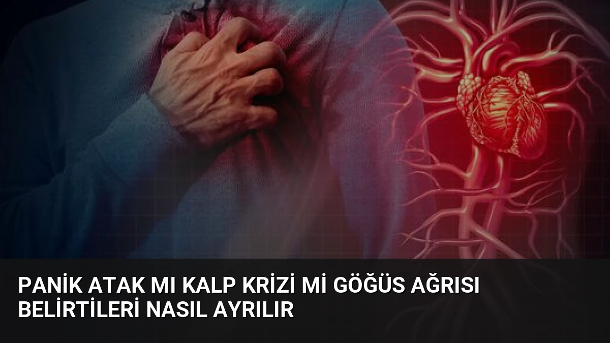 Panik Atak mı Kalp Krizi mi Göğüs Ağrısı Belirtileri Nasıl Ayrılır