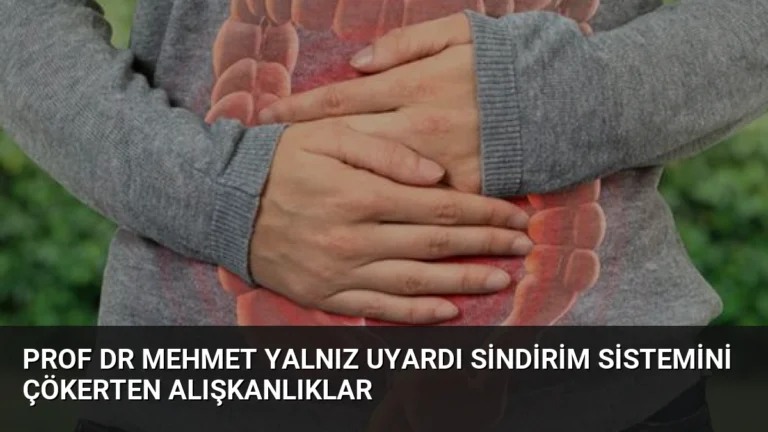 Prof Dr Mehmet Yalnız Uyardı Sindirim Sistemini Çökerten Alışkanlıklar