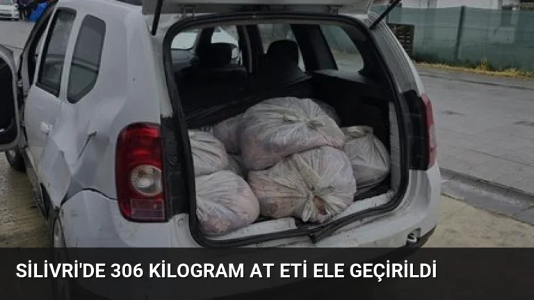 Silivri’de 306 Kilogram At Eti Ele Geçirildi