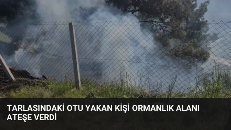 Tarlasındaki Otu Yakan Kişi Ormanlık Alanı Ateşe Verdi