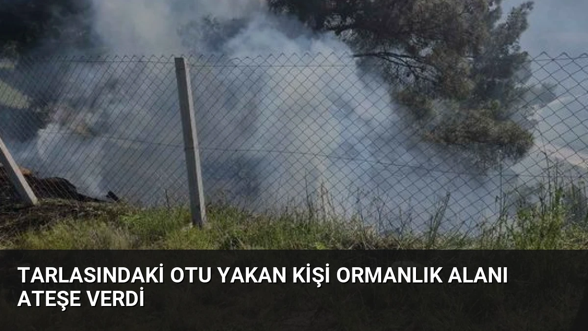 Tarlasındaki Otu Yakan Kişi Ormanlık Alanı Ateşe Verdi