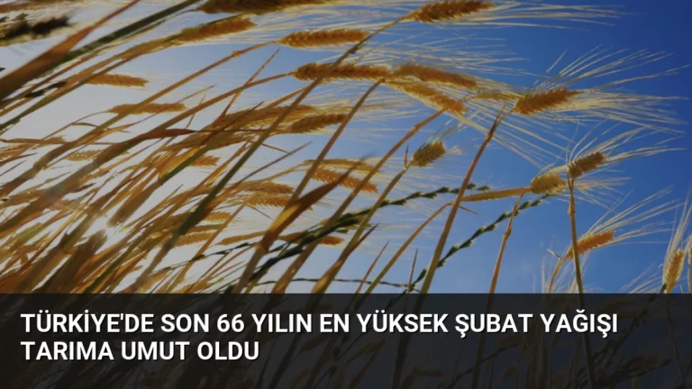 Türkiye’de Son 66 Yılın En Yüksek Şubat Yağışı Tarıma Umut Oldu