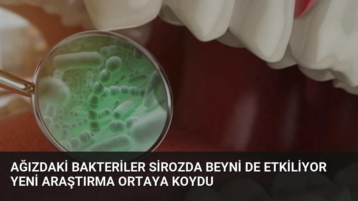 Ağızdaki Bakteriler Sirozda Beyni de Etkiliyor Yeni Araştırma Ortaya Koydu
