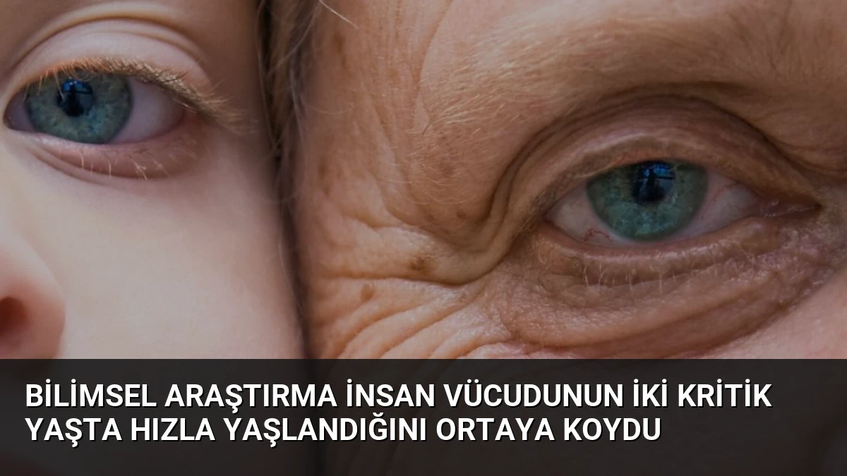 Bilimsel Araştırma İnsan Vücudunun İki Kritik Yaşta Hızla Yaşlandığını Ortaya Koydu