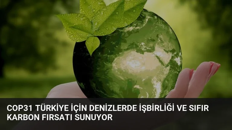 COP31 Türkiye İçin Denizlerde İşbirliği ve Sıfır Karbon Fırsatı Sunuyor