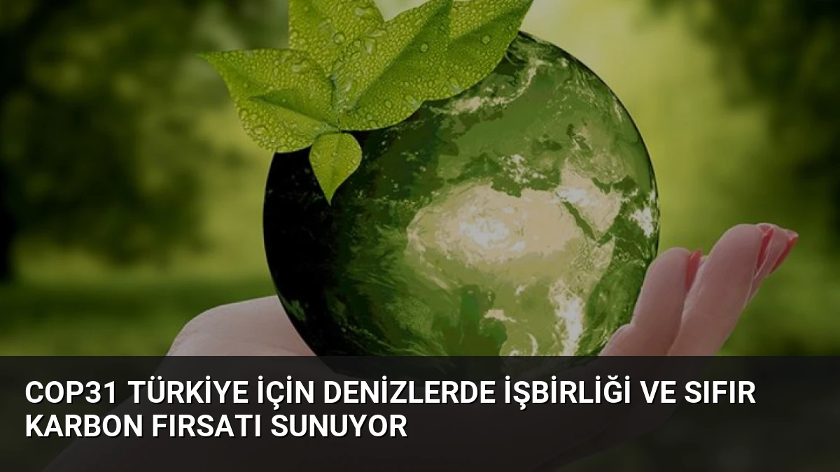 COP31 Türkiye İçin Denizlerde İşbirliği ve Sıfır Karbon Fırsatı Sunuyor