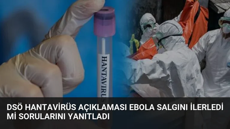 DSÖ Hantavirüs Açıklaması Ebola Salgını İlerledi Mi Sorularını Yanıtladı