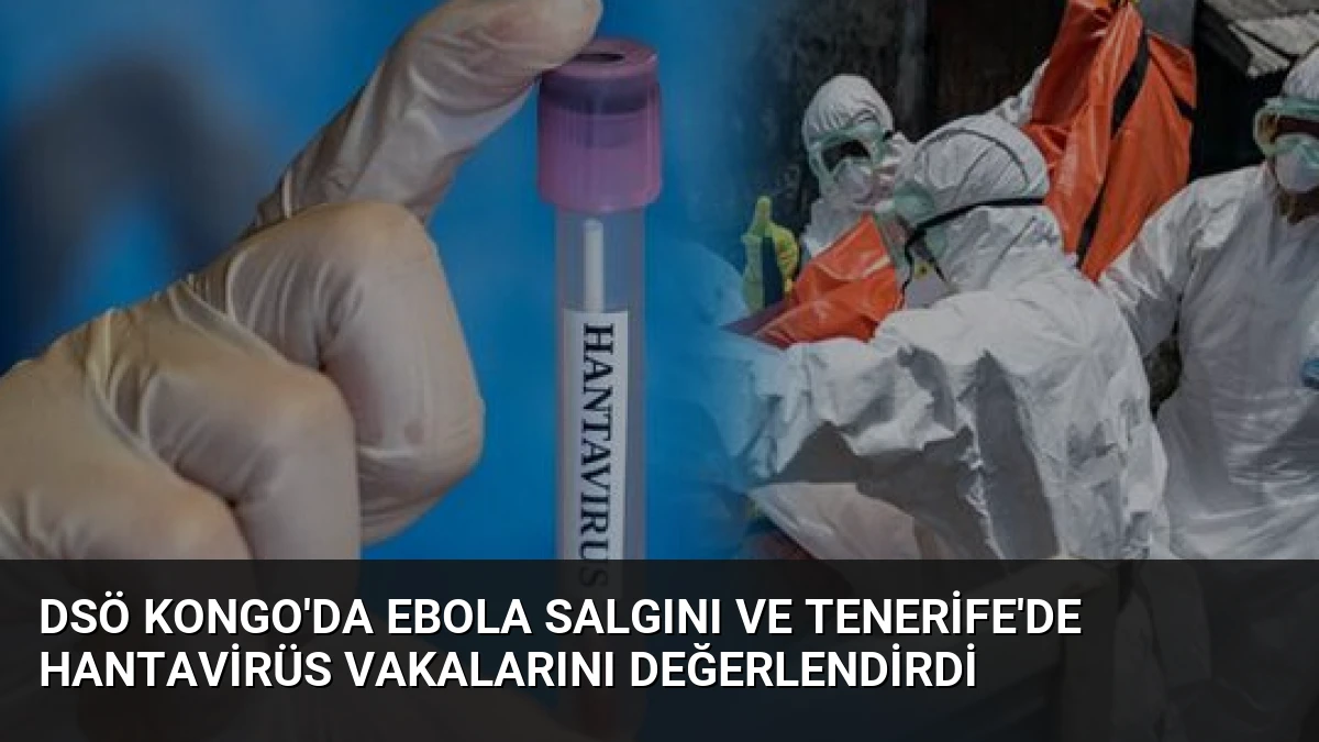 DSÖ Kongo’da Ebola Salgını ve Tenerife’de Hantavirüs Vakalarını Değerlendirdi