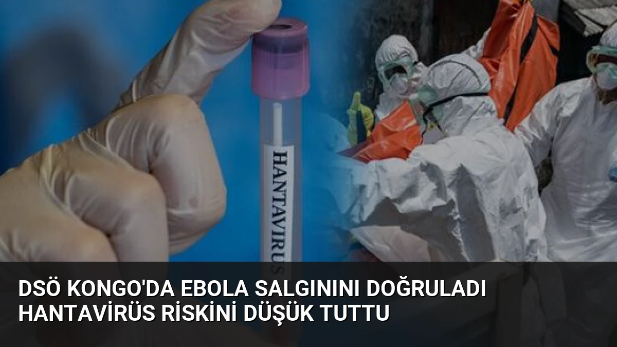 DSÖ Kongo’da Ebola Salgınını Doğruladı Hantavirüs Riskini Düşük Tuttu