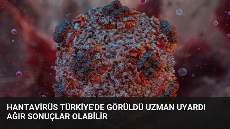 Hantavirüs Türkiye’de Görüldü Uzman Uyardı Ağır Sonuçlar Olabilir