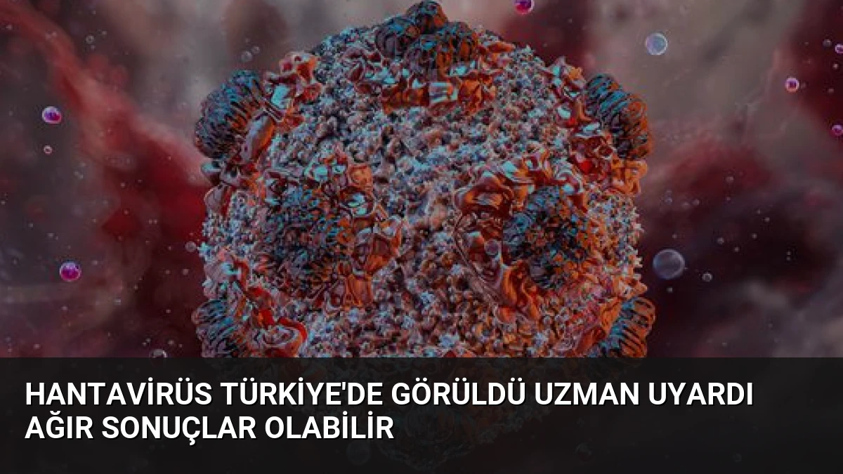 Hantavirüs Türkiye’de Görüldü Uzman Uyardı Ağır Sonuçlar Olabilir