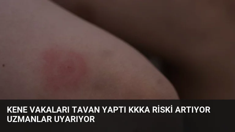 Kene Vakaları Tavan Yaptı KKKA Riski Artıyor Uzmanlar Uyarıyor