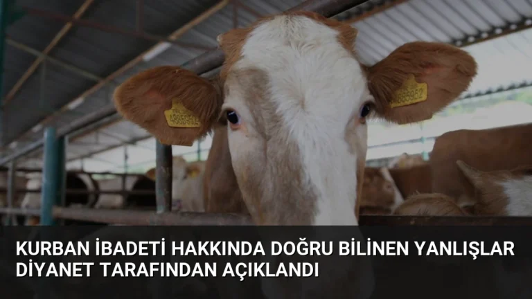 Kurban İbadeti Hakkında Doğru Bilinen Yanlışlar Diyanet Tarafından Açıklandı