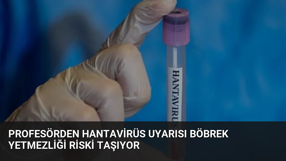 Profesörden Hantavirüs Uyarısı Böbrek Yetmezliği Riski Taşıyor
